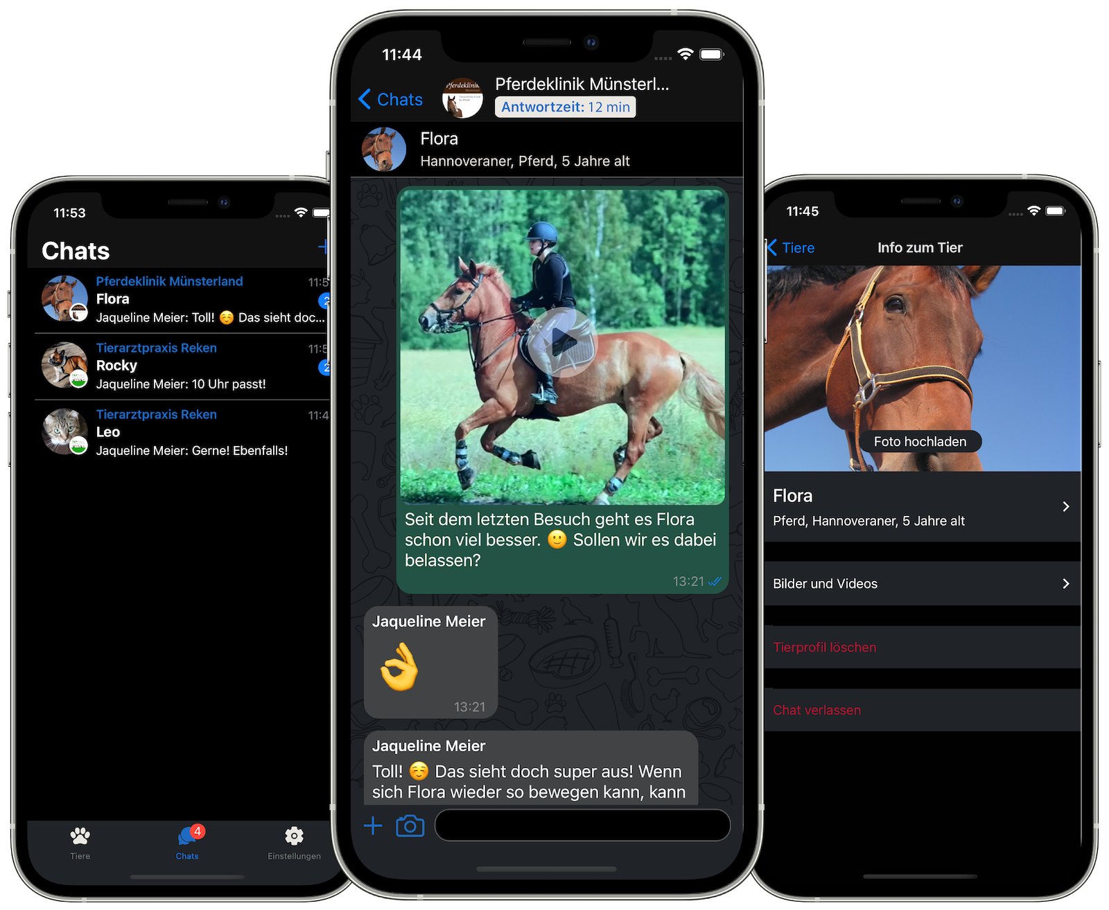 AnimalChat app preview with dark theme