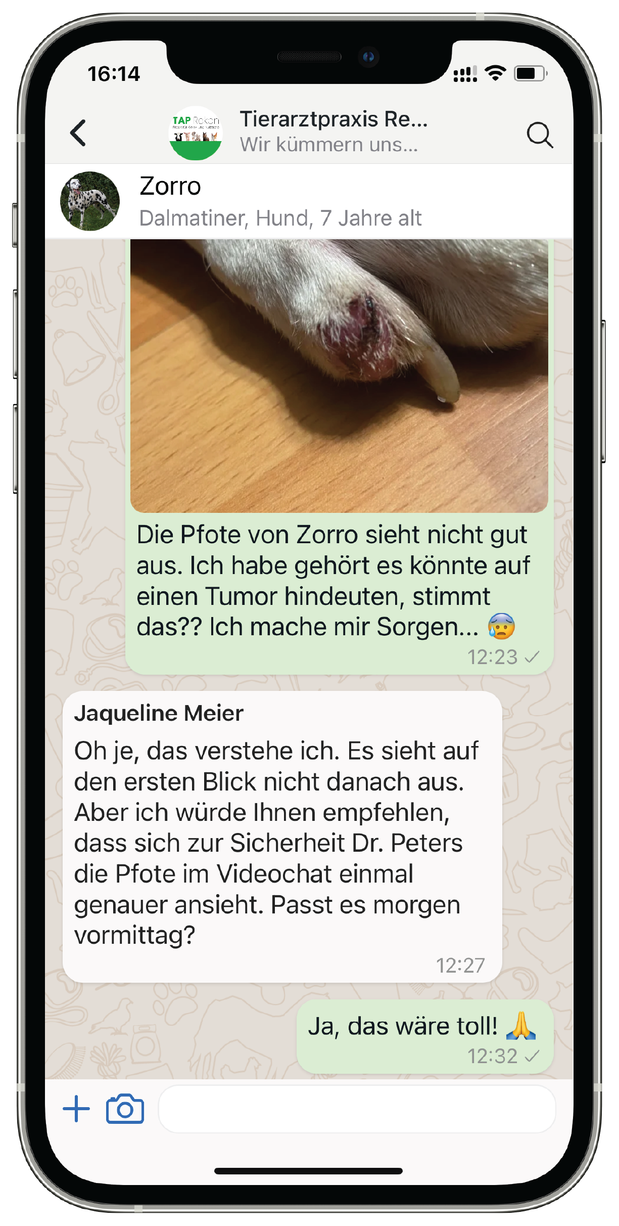 AnimalChat app showing a chat screen